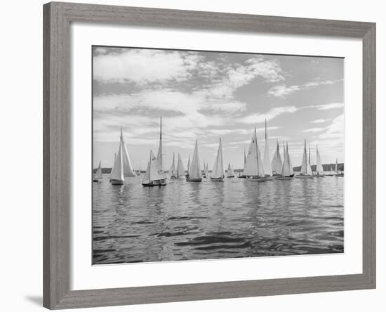 Boats Lined up for a Race on Lake Washington-Ray Krantz-Framed Photographic Print