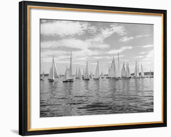 Boats Lined up for a Race on Lake Washington-Ray Krantz-Framed Photographic Print