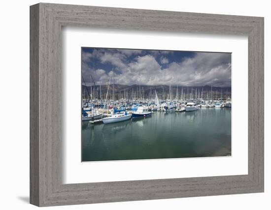 Boats moored at a harbor, Santa Barbara Harbor, California, USA-Panoramic Images-Framed Photographic Print