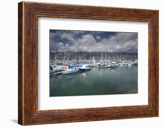 Boats moored at a harbor, Santa Barbara Harbor, California, USA-Panoramic Images-Framed Photographic Print