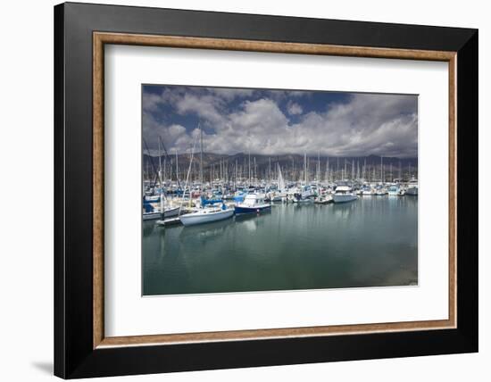 Boats moored at a harbor, Santa Barbara Harbor, California, USA-Panoramic Images-Framed Photographic Print