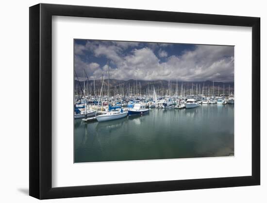 Boats moored at a harbor, Santa Barbara Harbor, California, USA-Panoramic Images-Framed Photographic Print