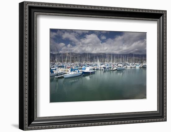 Boats moored at a harbor, Santa Barbara Harbor, California, USA-Panoramic Images-Framed Photographic Print