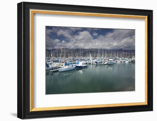 Boats moored at a harbor, Santa Barbara Harbor, California, USA-Panoramic Images-Framed Photographic Print