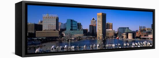 Boats moored at Inner Harbor viewed from Federal Hill with city in the background, Baltimore, Ma...-null-Framed Stretched Canvas