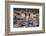 Boats Moored in the Harbour of the Historic Town of Cassis, Cote D'Azur, Provence, France, Europe-Martin Child-Framed Photographic Print