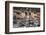 Boats Moored in the Harbour of the Historic Town of Cassis, Cote D'Azur, Provence, France, Europe-Martin Child-Framed Photographic Print