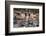 Boats Moored in the Harbour of the Historic Town of Cassis, Cote D'Azur, Provence, France, Europe-Martin Child-Framed Photographic Print