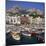 Boats Moored in the Marina Grande, Capri, Campania, Italy, Europe-Roy Rainford-Mounted Photographic Print