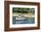 Boats on Lake Malawi, Cape Maclear, Malawi, Africa-Michael Runkel-Framed Photographic Print