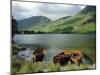 Boats on the Lake, Buttermere, Lake District National Park, Cumbria, England, UK-Roy Rainford-Mounted Photographic Print