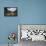 Boats Pulled Up by a Fjord, Songdal Region, Near Bergen, Western Norway, Scandinavia, Europe-David Pickford-Framed Premier Image Canvas displayed on a wall