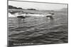 Boats Racing on Flathead Lake, Montana-null-Mounted Art Print