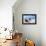 Boats Stored on a Caribbean Beach, Puerto Rico-George Oze-Framed Premier Image Canvas displayed on a wall