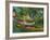 Boats to Rent-Vincent van Gogh-Framed Art Print