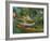 Boats to Rent-Vincent van Gogh-Framed Art Print