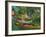 Boats to Rent-Vincent van Gogh-Framed Art Print