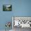 Boats wait for passengers at Doo Lough, part of a national park in County Mayo, Ireland.-Betty Sederquist-Framed Premier Image Canvas displayed on a wall