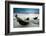 Boats-GoodOlga-Framed Photographic Print