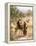 Boaz and Ruth-William Brassey Hole-Framed Premier Image Canvas