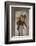 Bob Cratchit with "Tiny Tim" His Crippled Youngest Son-Jessie Willcox-Smith-Framed Photographic Print