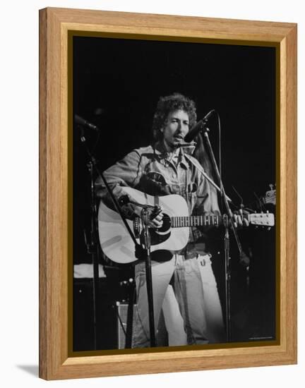 Bob Dylan during Rock Concert at Madison Square Garden-Bill Ray-Framed Premier Image Canvas