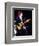 Bob Dylan-null-Framed Photo