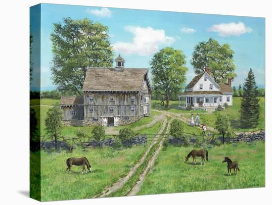 Stretched Canvas Print, , large