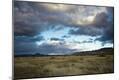 Photographic Print