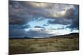 Photographic Print