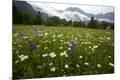 Premium Photographic Print