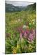 Premium Photographic Print