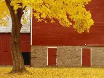 Autumn Tree by Red Barn-Bob Krist-Photographic Print