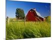 Premium Photographic Print
