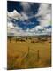 Photographic Print