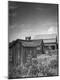 Photographic Print