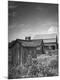 Photographic Print