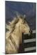 Premium Photographic Print