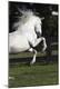 Premium Photographic Print