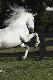 Premium Photographic Print