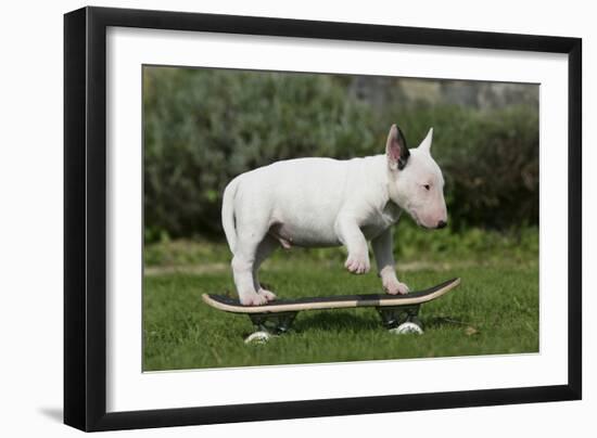 Photographic Print, , large