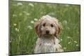Premium Photographic Print