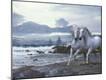Premium Photographic Print