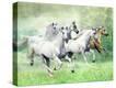 Stretched Canvas Print