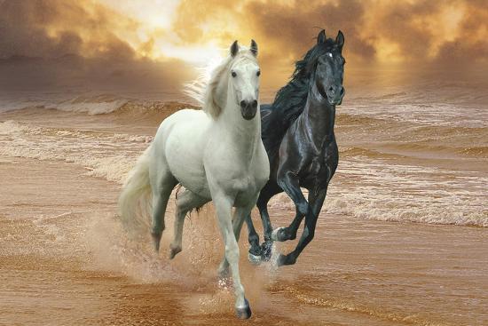 Photographic Print, , large