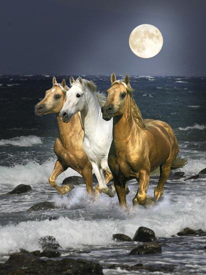 Photographic Print, , large