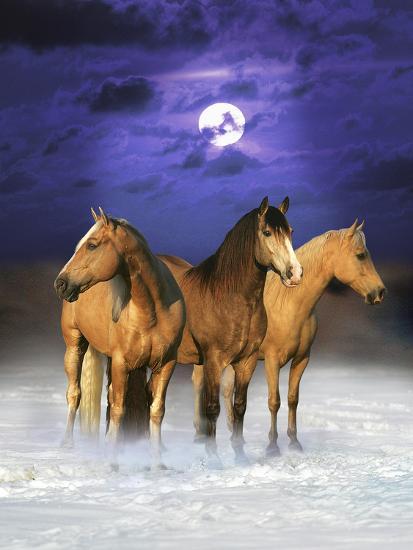 Photographic Print, , large