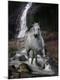 Photographic Print