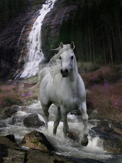 Photographic Print, , large