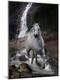 Photographic Print